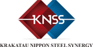 logo knss